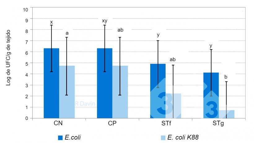 Figura&nbsp;1. E. coli total y E. coli K88 espec&iacute;fica adheridas a la mucosa del &iacute;leon de lechones destetados tras un desaf&iacute;o con&nbsp;E. coli K88&nbsp;(adaptado de Molist et al. 2011). x,y Los diferentes super&iacute;ndices en una barra indican una diferencia significativa entre los tratamientos diet&eacute;ticos (P &lt; 0.05).&nbsp;
